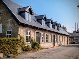 Basen skole på Carl Nielsens Alle 15C. En ældre bygning i gule mursten med grønne buske omkring og blå himmel.
