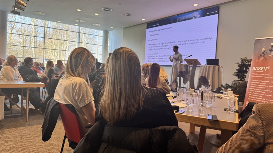 Konferencesal med mange deltagere der lytter til Svend Brinkmanns oplæg.