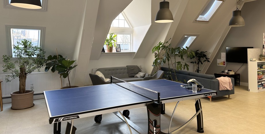 Bordtennisbord placeret midt i et rum med grønne planter og flere vinduer